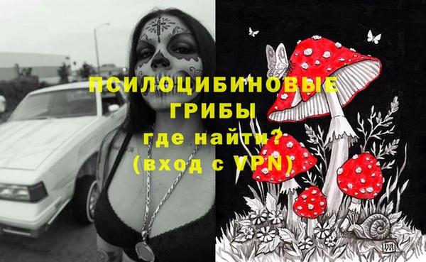 spice Армянск