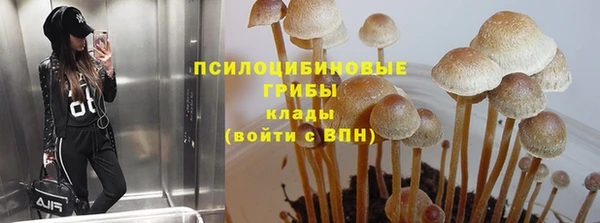 синтетический гашиш Арсеньев