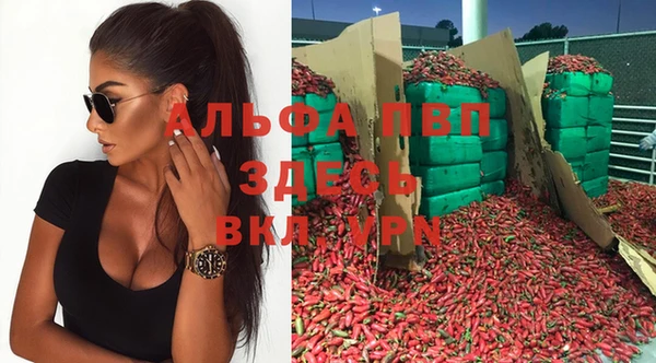 spice Армянск