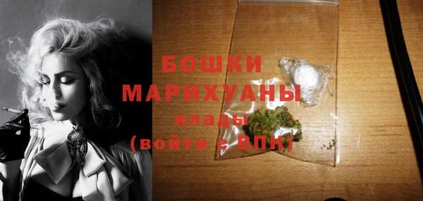 молекула духа Аркадак
